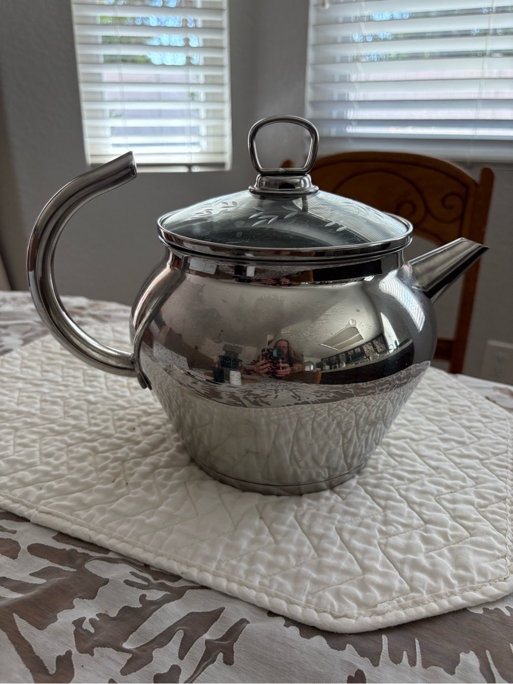 Princess House Stainless Steel Teapot with Glass Lid - Silver